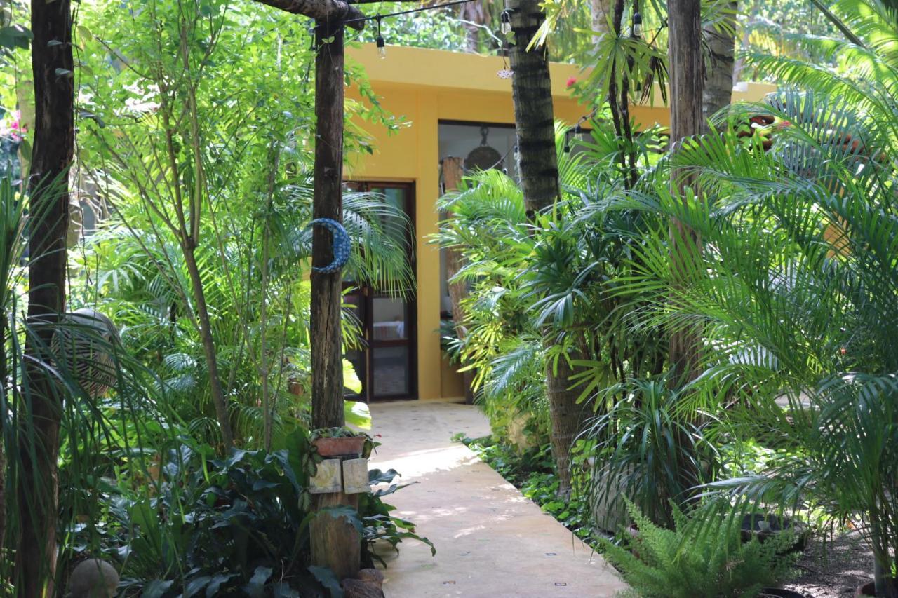 مبيت وإفطار كانكون Casa Kin33 المظهر الخارجي الصورة