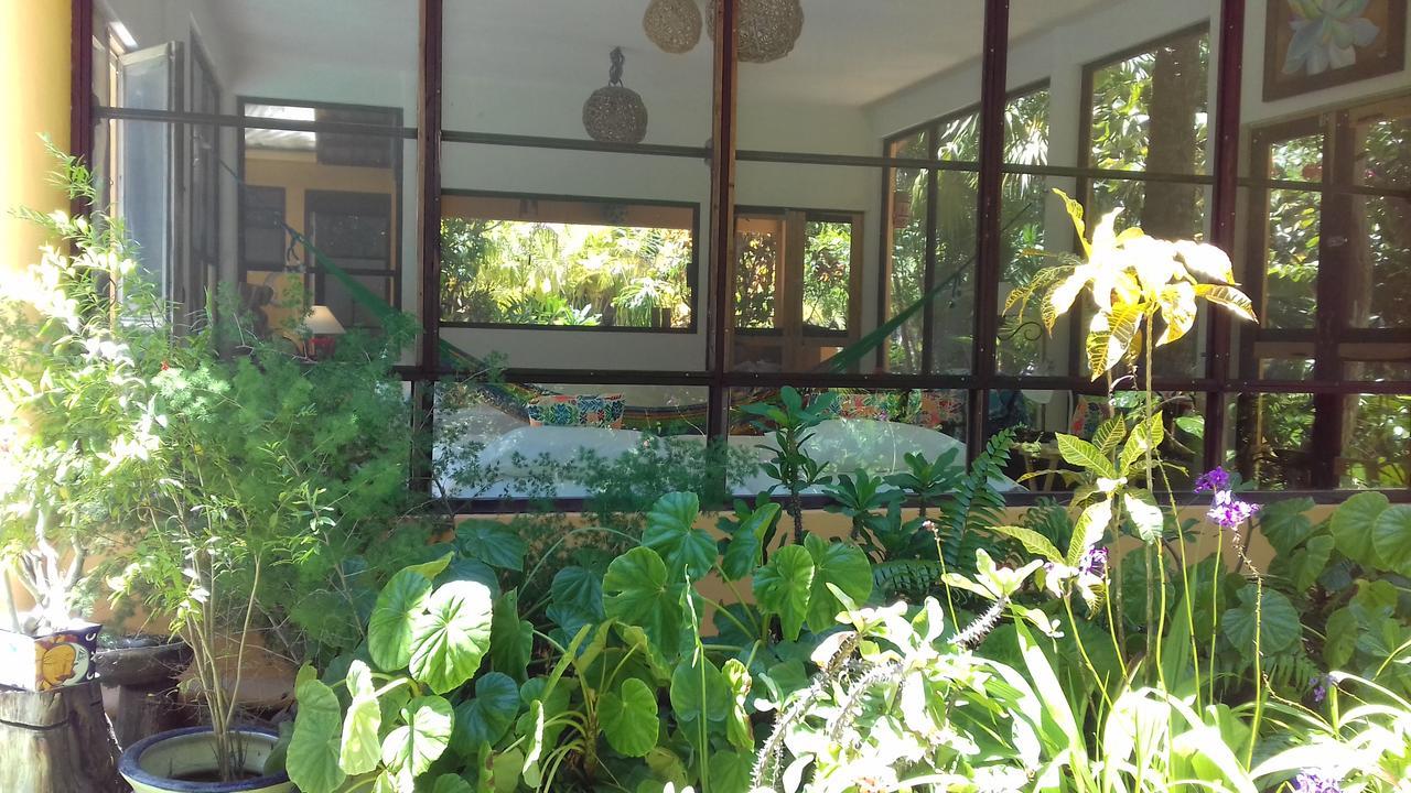 مبيت وإفطار كانكون Casa Kin33 المظهر الخارجي الصورة