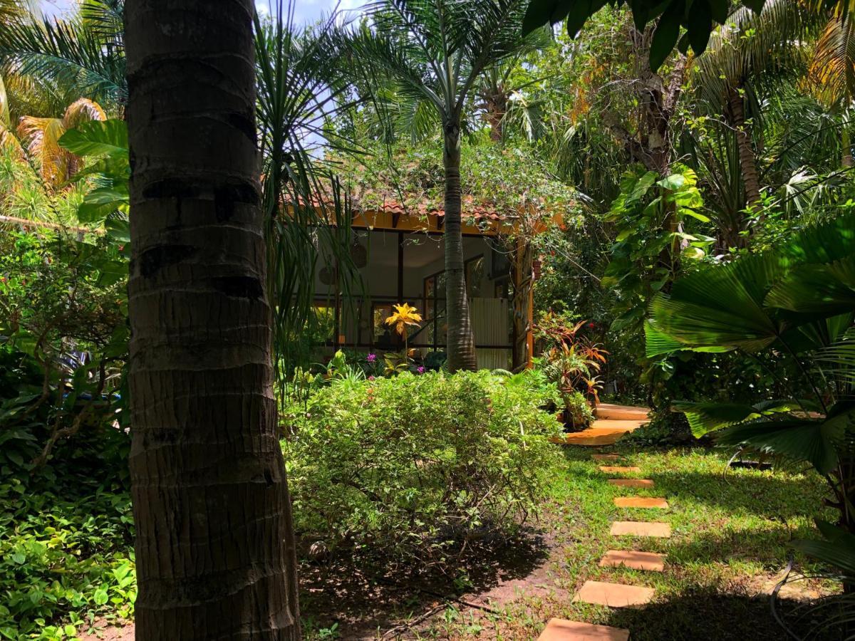 مبيت وإفطار كانكون Casa Kin33 المظهر الخارجي الصورة